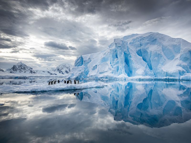 Antarctica luxury expedition cruise — pristine icebergs and wildlife